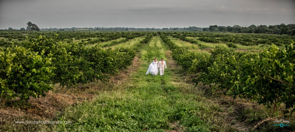 Olvia + Michael Trash the Dress