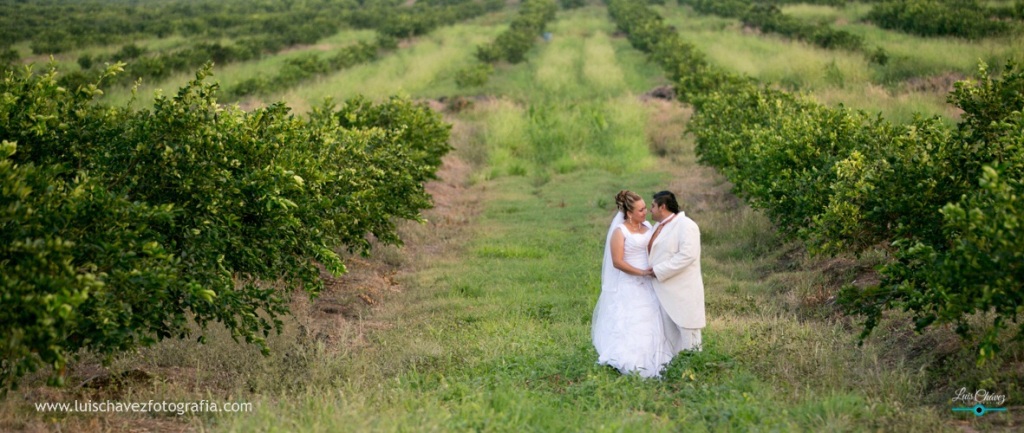 Olvia + Michael Trash the Dress