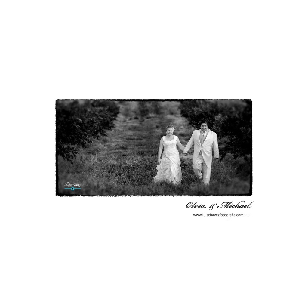 Olvia + Michael Trash the Dress