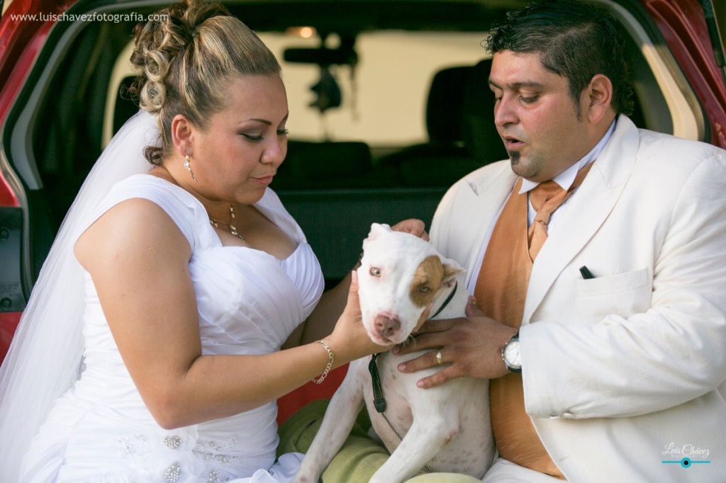 Olvia + Michael Trash the Dress