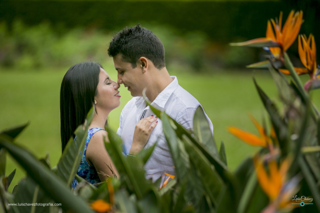 www.luischavezfotografia.com_preboda_boda__Q7A0488